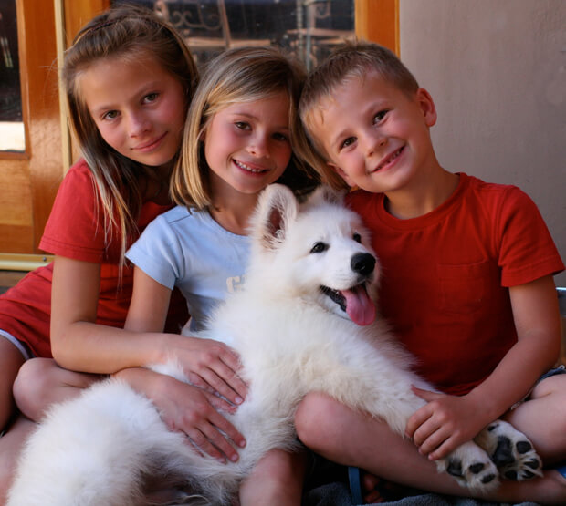 Ice-white-german-shepherd-12-weeks1 three children smiling with white swiss shepherd puppy