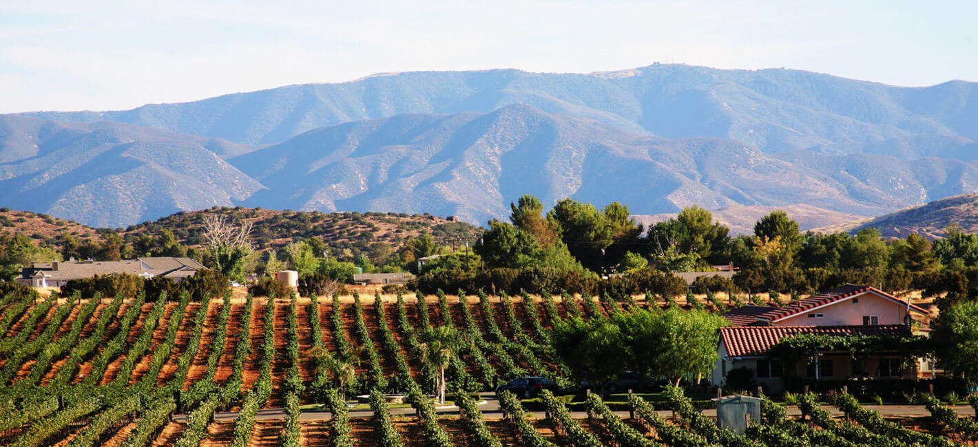 reyes-winery Reyes winery in agua dulce, ca